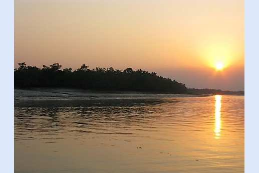 Viaggio in India 2008 - Sunderbans